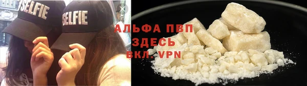 стаф Арсеньев