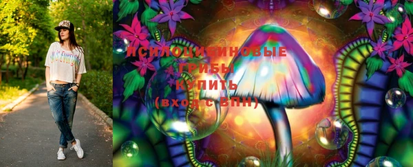 винт Аркадак