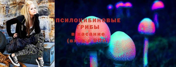 СК Приозерск