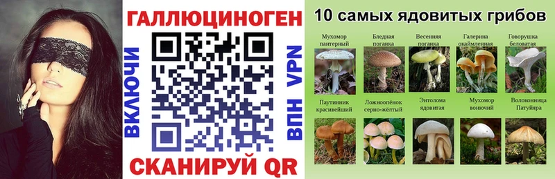 Галлюциногенные грибы GOLDEN TEACHER Котельниково